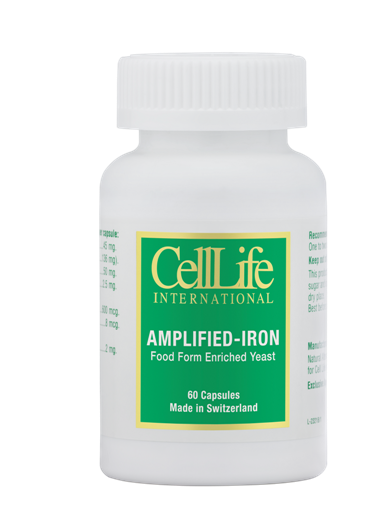 Ampl Iron 2019