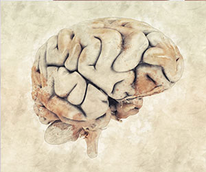 Brain & Memory Support